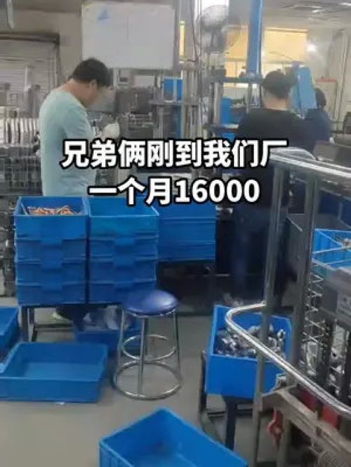 手足同心筑夢廠區，兄弟合力點亮人生